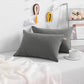 Toddler Pillows (2 Count)