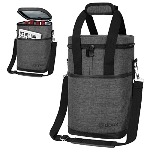 Insulated Wine Cooler Bag