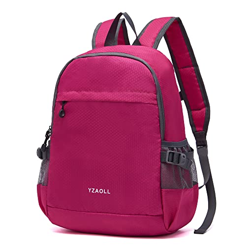 Hiking Backpack 20L Packable Packable Lightweight Day Pack for Women & Men