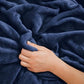 Travel Blanket and Pillow