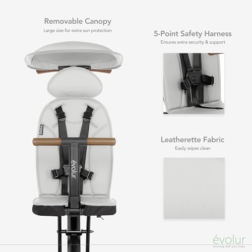 Cruise Rider Stroller with Canopy