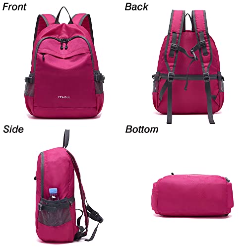 Hiking Backpack 20L Packable Packable Lightweight Day Pack for Women & Men
