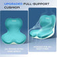Car Seat Cushion and Lumbar Support Pillow One Piece