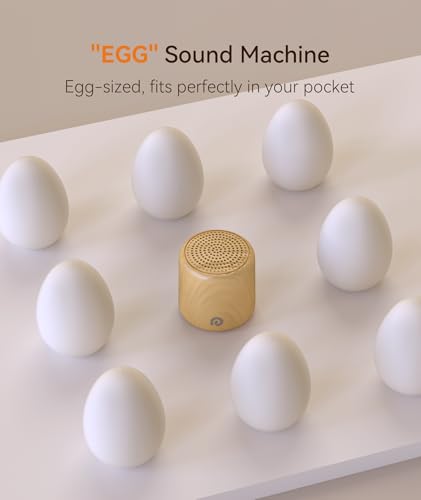 Portable Sound Machine
