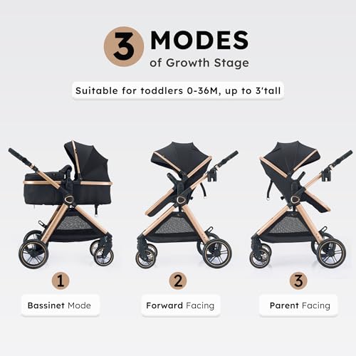 2-in-1 Convertible Baby Stroller for Newborn to Toddler