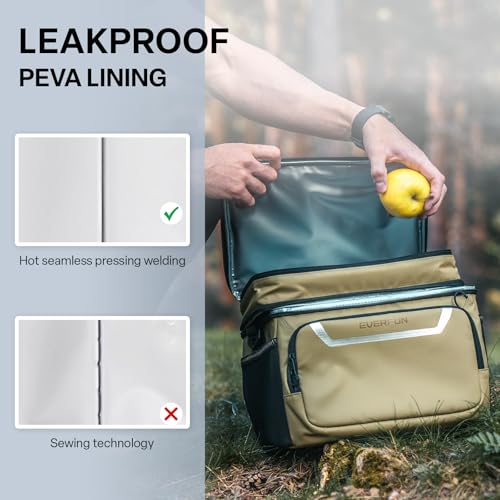 Small Cooler Bag 24 Can Insulated Lunch Box Double Deck Soft Leak (24 Count)