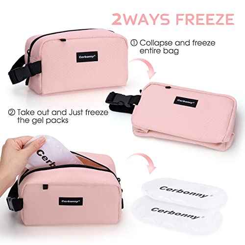 Small Cooler Bag
