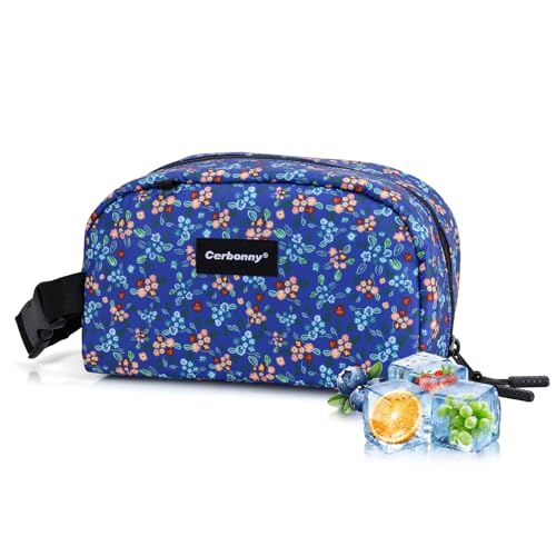 Small Cooler Bag
