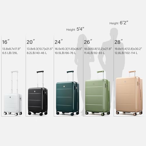 3 Piece Luggage Set Expandable Hardside Suitcases with Spinner Wheels (3 Count)