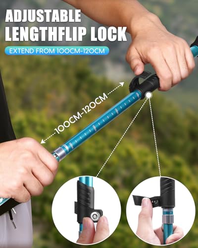 Hiking Poles 7075 Aluminum Tri