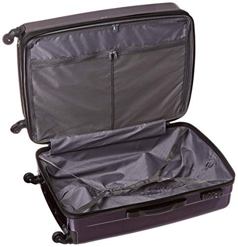 Winfield 2 Hardside Expandable Luggage with Spinner Wheels