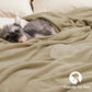 Fleece Blanket Twin Size 66"x90"