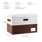 Foldable Storage Bins with Lids [3 (3 Count)