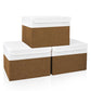Large 17" 42 Quarts Collapsible Stackable Storage Bins with Lids [3 (3 Count)