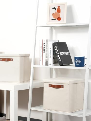 Foldable Fabric Storage Bins with Lids (2 Count)