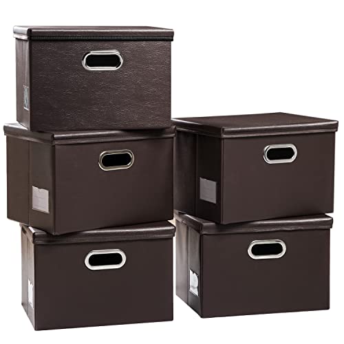 Foldable Storage Bins with Lids [5 (5 Count)