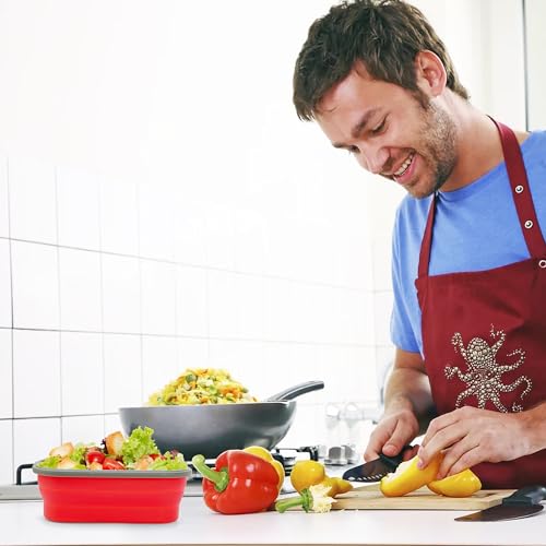 1000ml Collapsible Bento Lunch Box