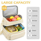 Double Layer Cooler Insulated Lunch Bag Adult Lunch Box Large Tote Bag for Men (Biege)