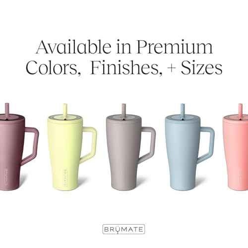 Era 30 oz Tumbler with Handle and Straw