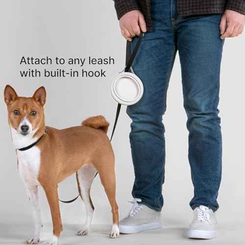 Nomad Small Collapsible Travel Dog Bowl