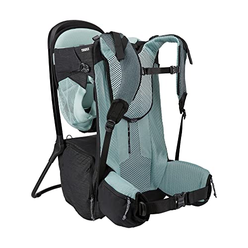 Sapling Child Carrier Backpack