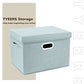 Collapsible Storage Bins With Lids (2 Count)