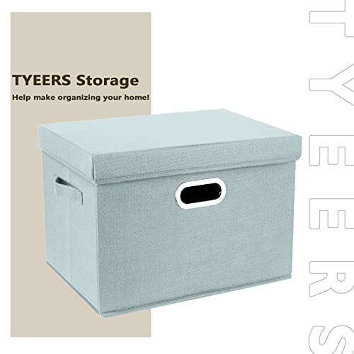 Large Storage Bins with Lids (5 Count)