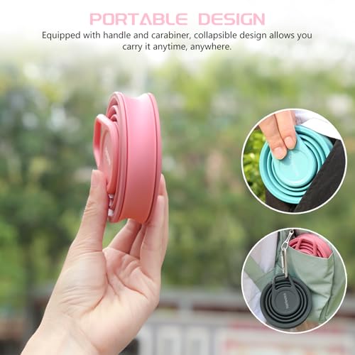 Collapsible Water Bottle