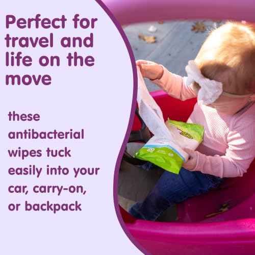 Antibacterial Hand Wipes