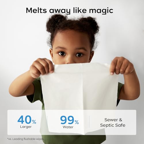Cloud Max Flushable Wipes (126 Count)