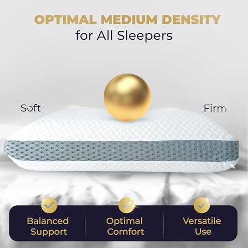 Memory Foam Pillow