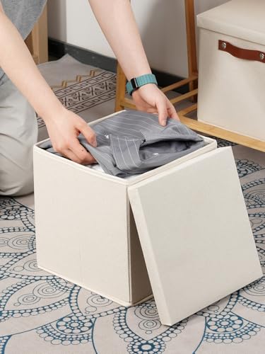 Foldable Fabric Storage Bins with Lids (2 Count)