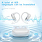 Language Translation Earbuds