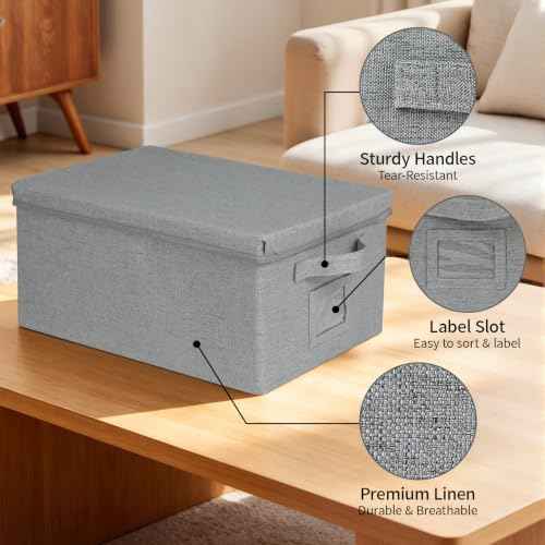 Storage Bins With Lids Closet Organizer Cabinet Box For Clothes (2 Count)