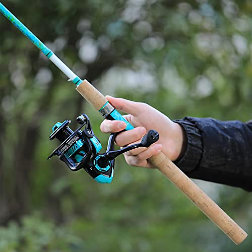 Spinning Fishing Rod Combo