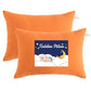 Toddler Pillows (2 Count)