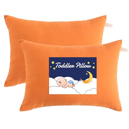 Toddler Pillows (2 Count)