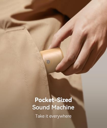 Portable Sound Machine