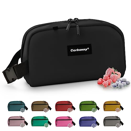 Small Cooler Bag
