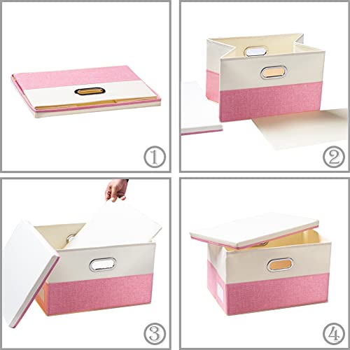 Large Collapsible Storage Bins with Lids [3 (3 Count)