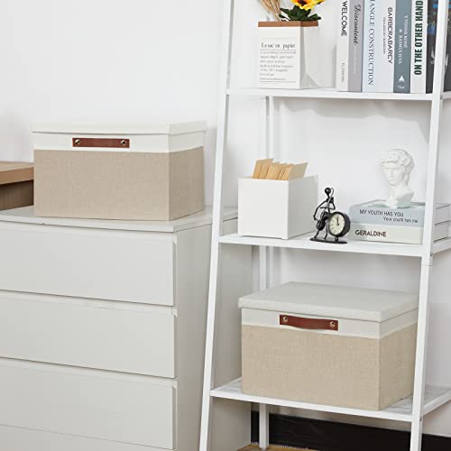 Foldable Storage Bins with Lids (2 Count)
