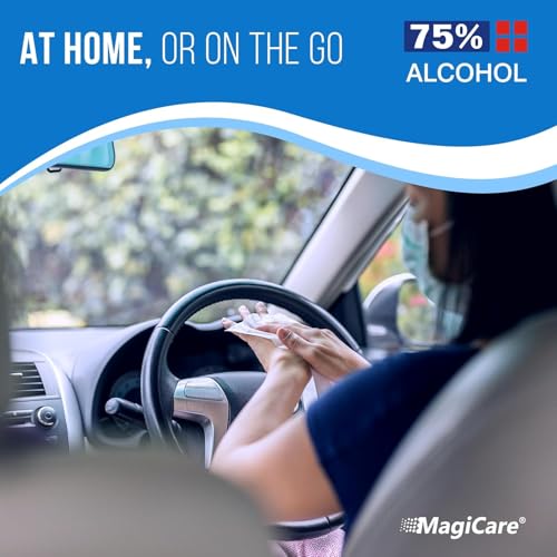 75% Large Alcohol Wipes (320 Count)