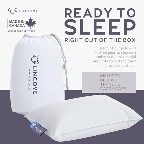 Microgel Travel Pillow