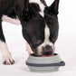 Nomad Small Collapsible Travel Dog Bowl
