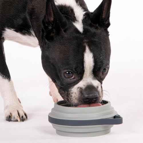 Nomad Small Collapsible Travel Dog Bowl