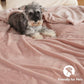 Fleece Blanket King 108"x90"