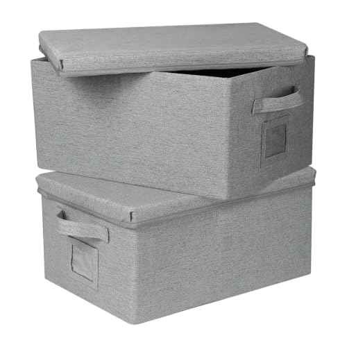 Storage Bins With Lids Closet Organizer Cabinet Box For Clothes (2 Count)