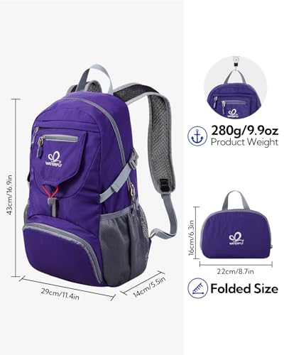 Small Lightweight Packable Backpack