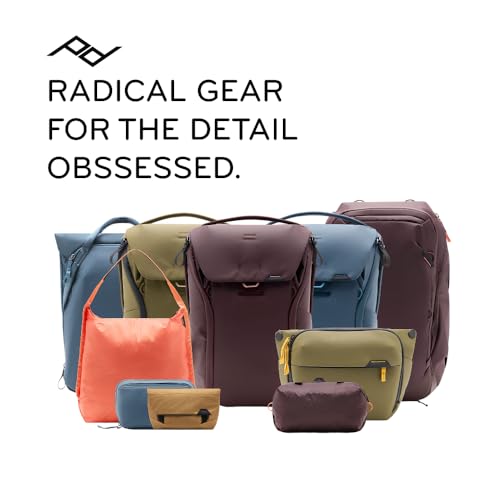 Everyday Backpack 20L