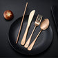 Travel Utensils Set Stainless Steel with Carrying Case